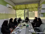 نشست برنامه‌ریزی سمینار «بلوغ؛ نیازها و تهدیدها»