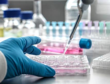 البرامج البحثية