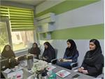 دومین جلسه کارگروه کمیته سلامت دختران استان