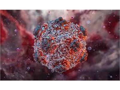 hantavirus has not yet reached the stage of a global pandemic