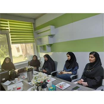 دومین جلسه کارگروه کمیته سلامت دختران استان