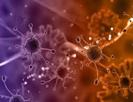 قبول الدراسات العليا